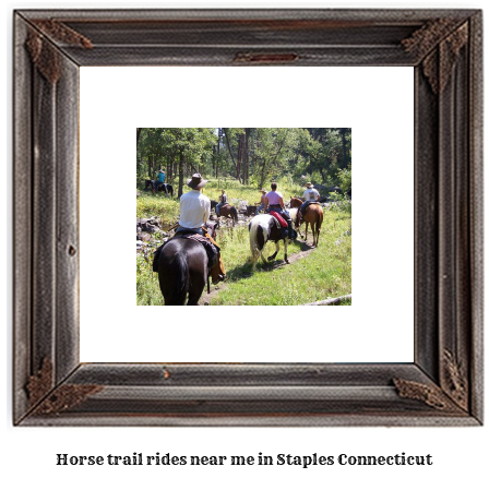 horse trail rides near me in Staples, Connecticut